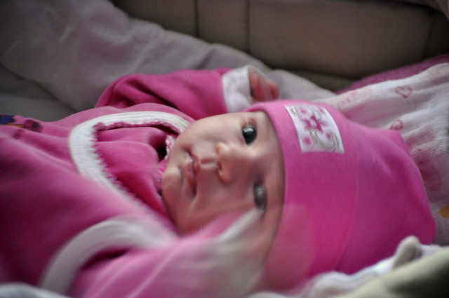 Wpis ivyphotography