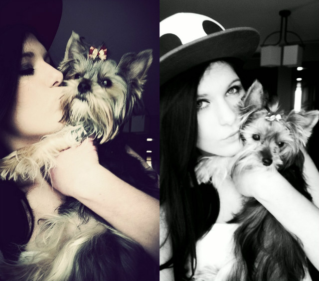 Wpis awwr