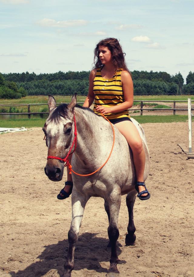 Wpis nierusz