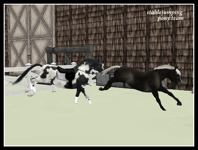 pony team