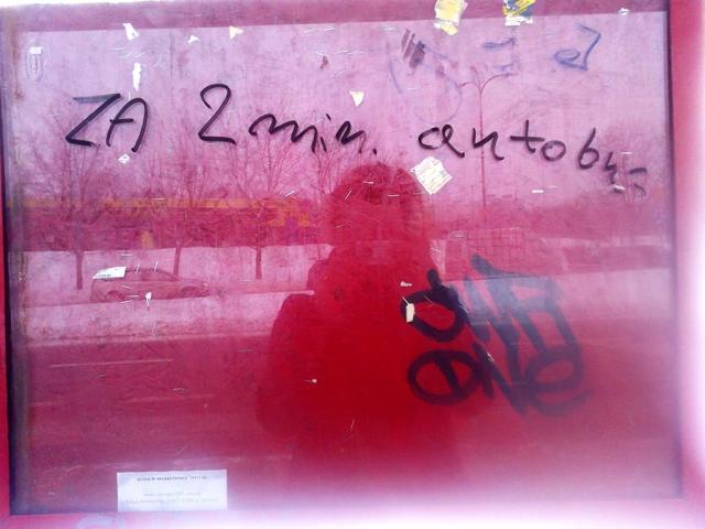 wszystko za ycie