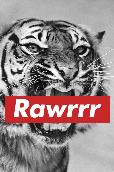 Wpis zwyklyskurwiel