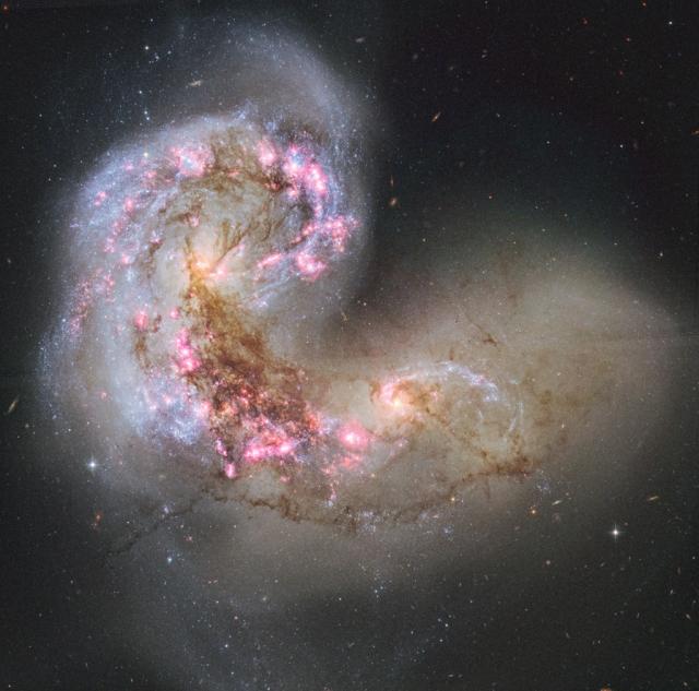 Wpis astroniki
