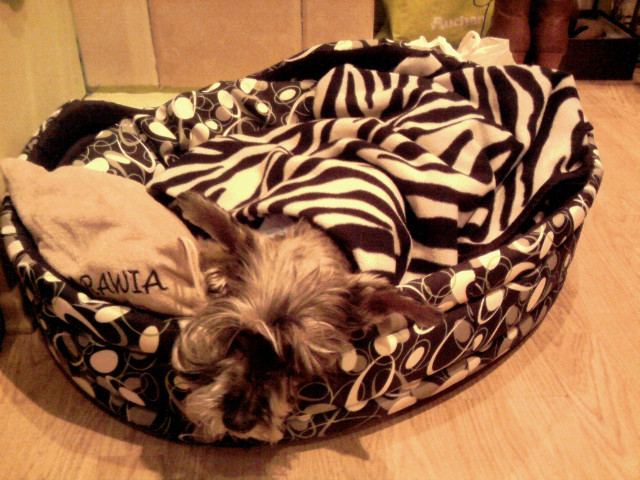 my little love