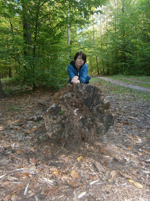 Wpis fallingintodepth