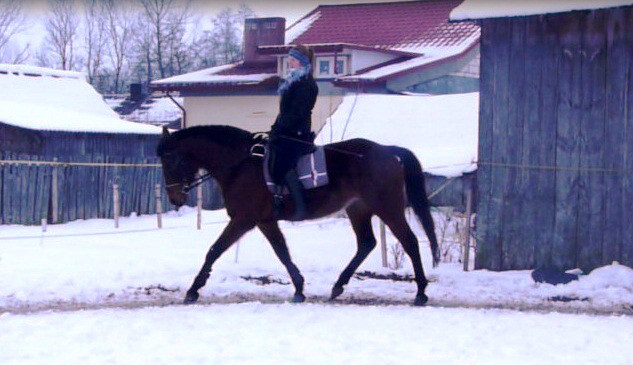 Wpis olunia881