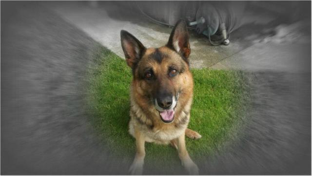 Max . 