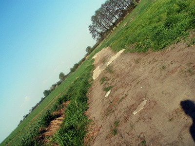 Wpis photography98