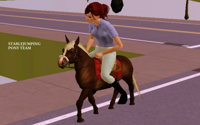 Wpis stablejumping