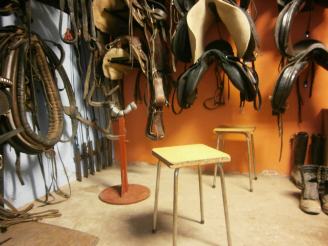 Caballo.