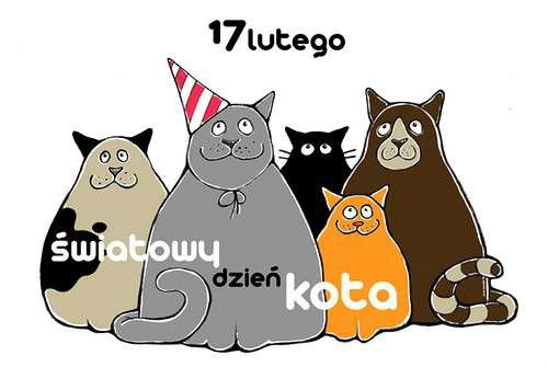 wiatowy dzie kota!