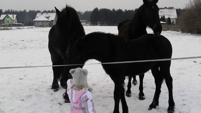 Jagoda, Nevil, Biszma i Romke