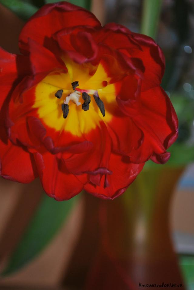 3.
