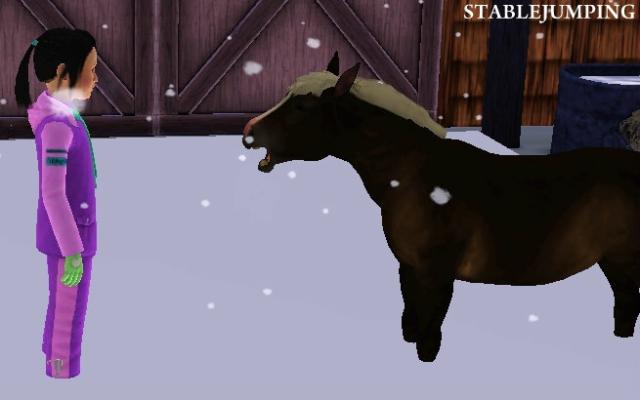 Wpis stablejumping