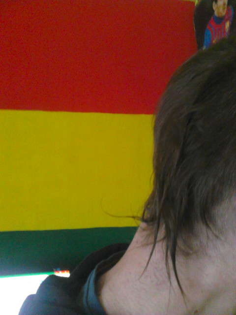 Wpis reggaedemony