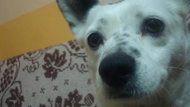 Wpis julaaxd13