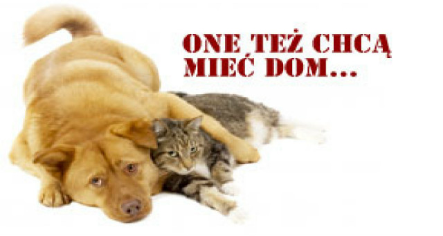 Bo ty ju go masz !