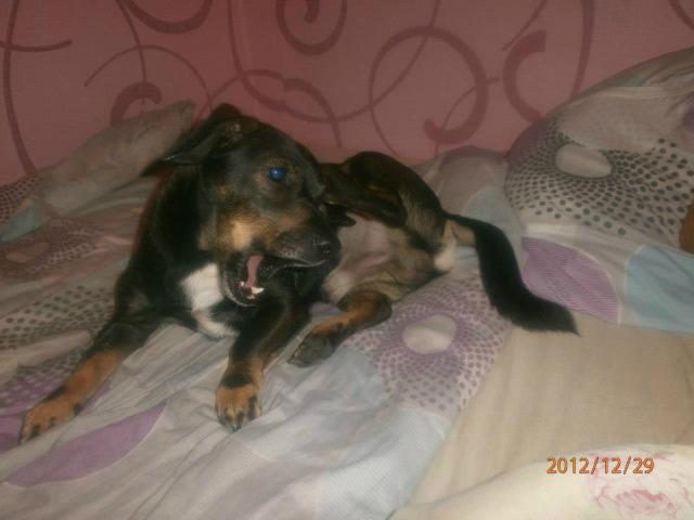 Wpis kinga1227