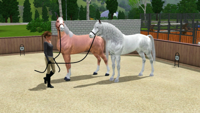 Simsy ; DD
