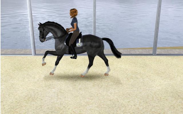 Wpis equumsims