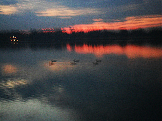 the lake..