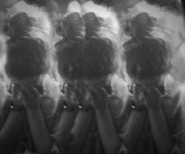 Marchewaaaa :3