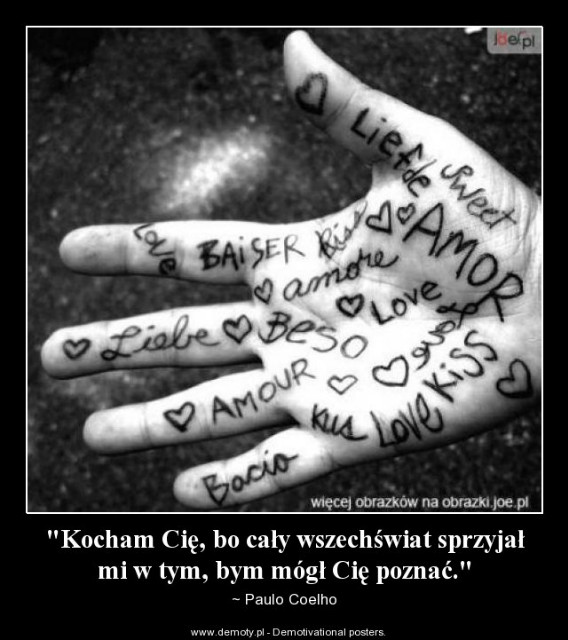 Wamik ;DD