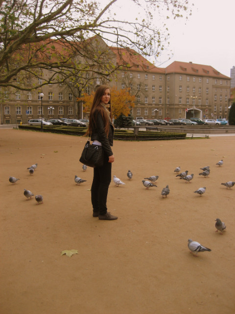 Wpis sylwiuskaa