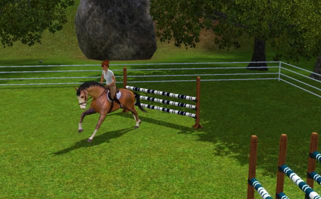 Wpis equumsims