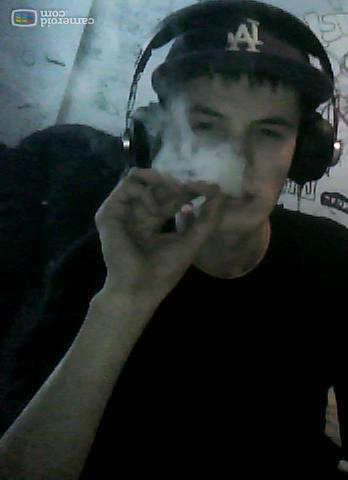 Wpis guciola