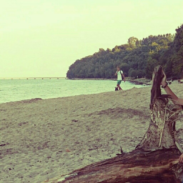 love.