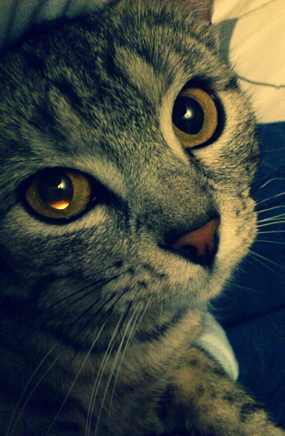 Wpis cocoasolee