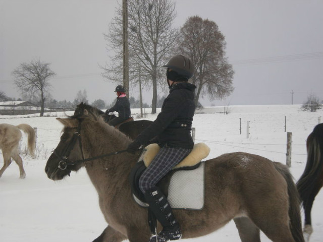 Psota :)