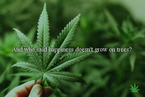 Wpis ilovemarijuana