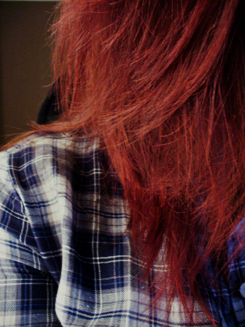 Wpis xdagax