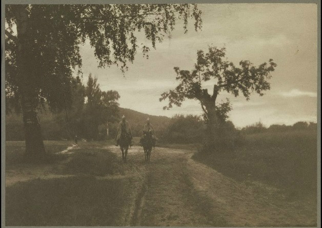 cadinen kadyny