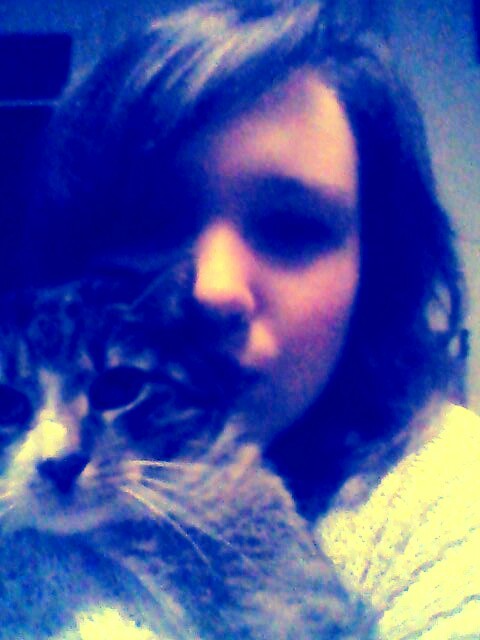 mr mr mj kocie *.*
