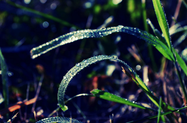 Wpis japhotography