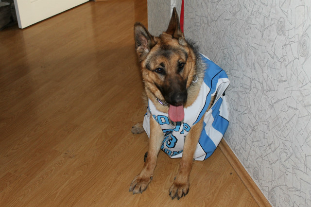 Wpis rzadkomyslacablondynka