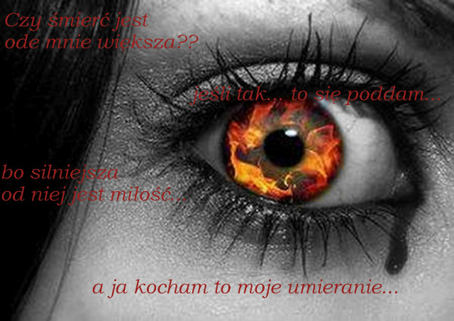 pocztek