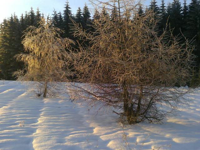 Wpis filipek123123