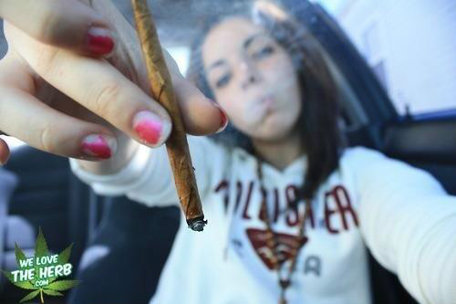 Wpis ilovemarijuana