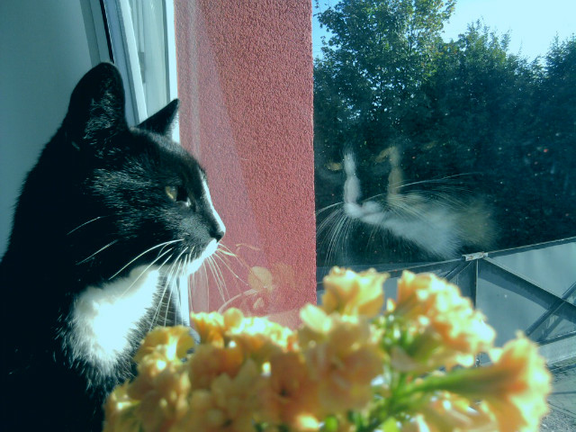 Maciu :*