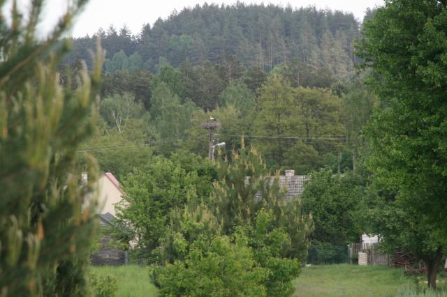 Wpis zatrzymajcisze