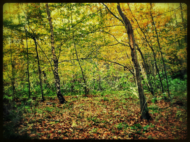 My Own World
