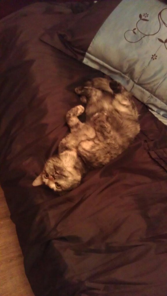 mrrrr