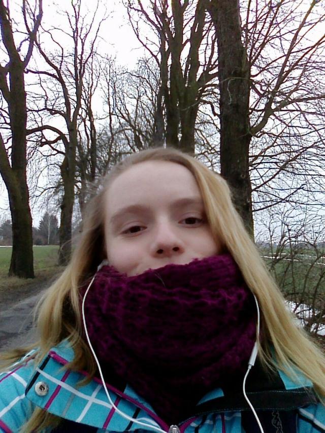 Wpis wyborna
