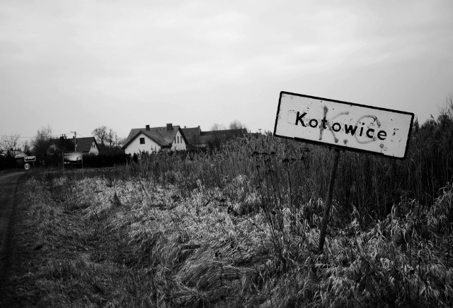 216 - kotowice