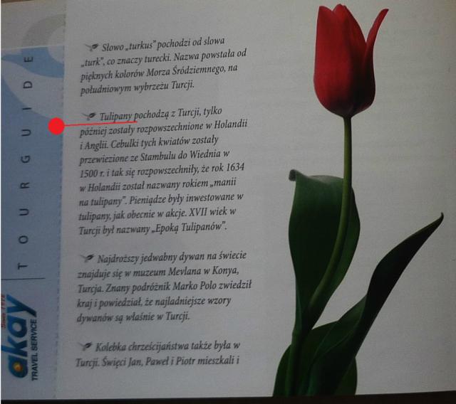 8. marca o tulipanach