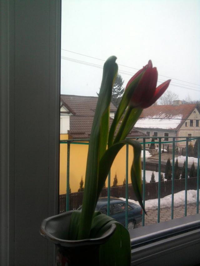 Wpis wintertimeesadness